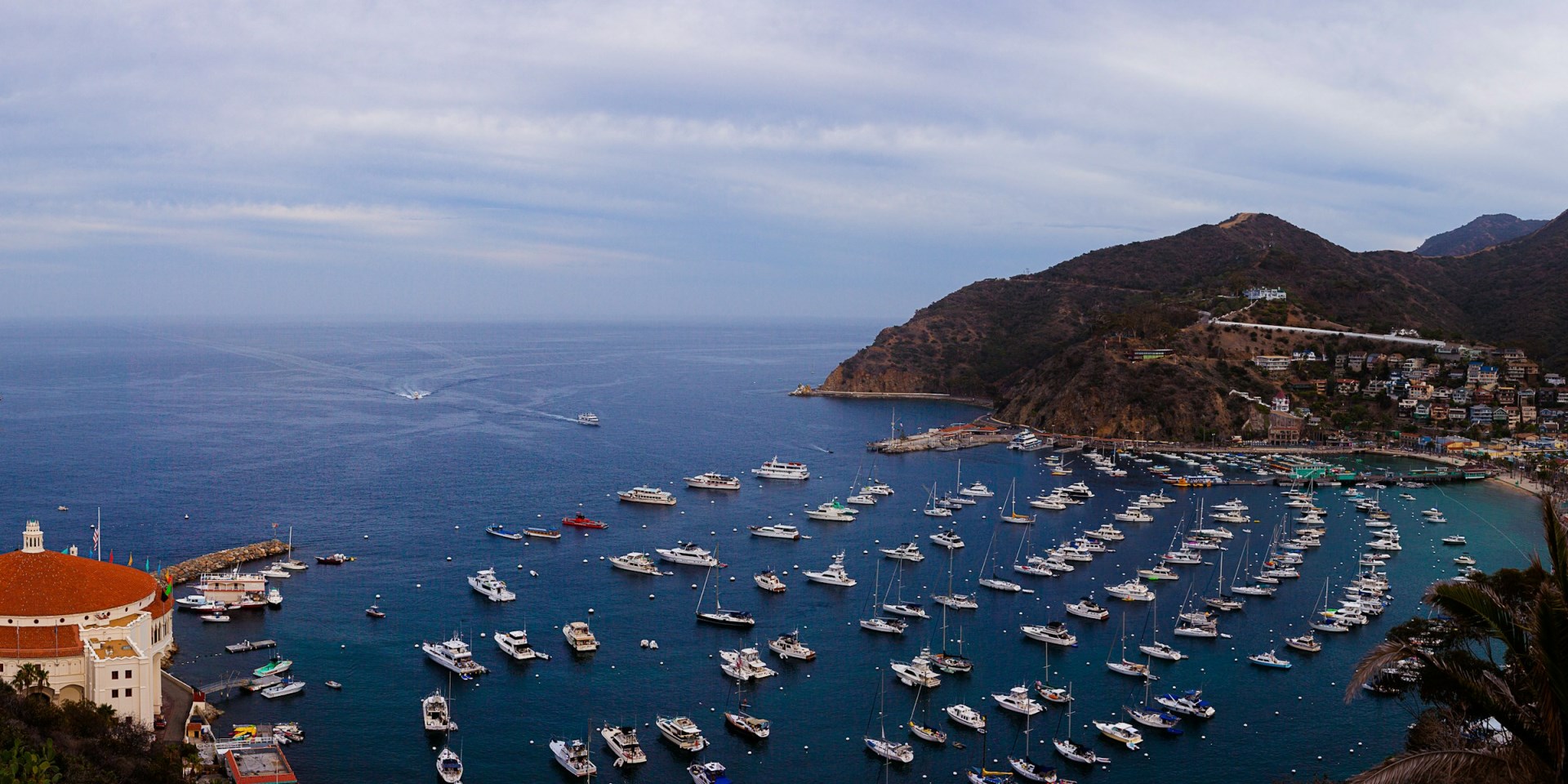  Photo Credit: Photo by Roger on Unsplash