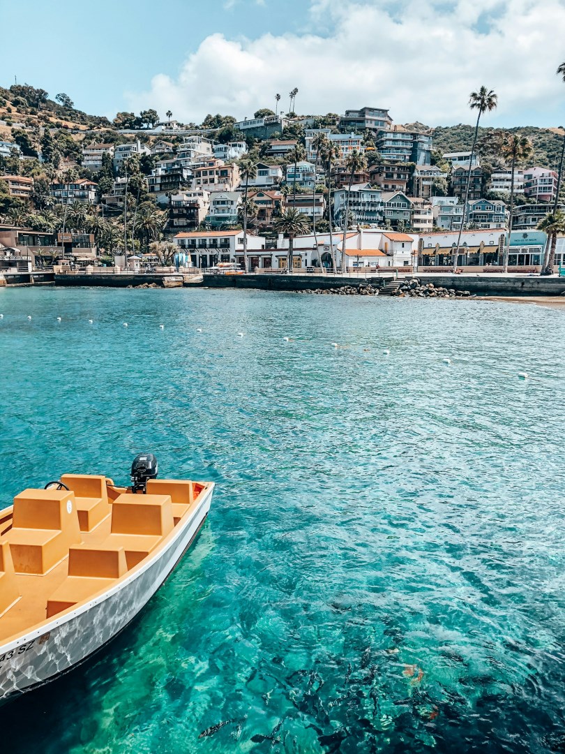 Photo Credit: Photo by Amy Vosters on Unsplash