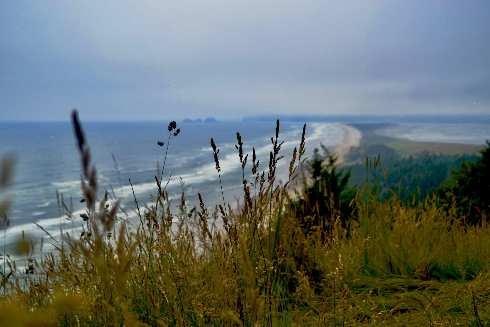 Tillamook