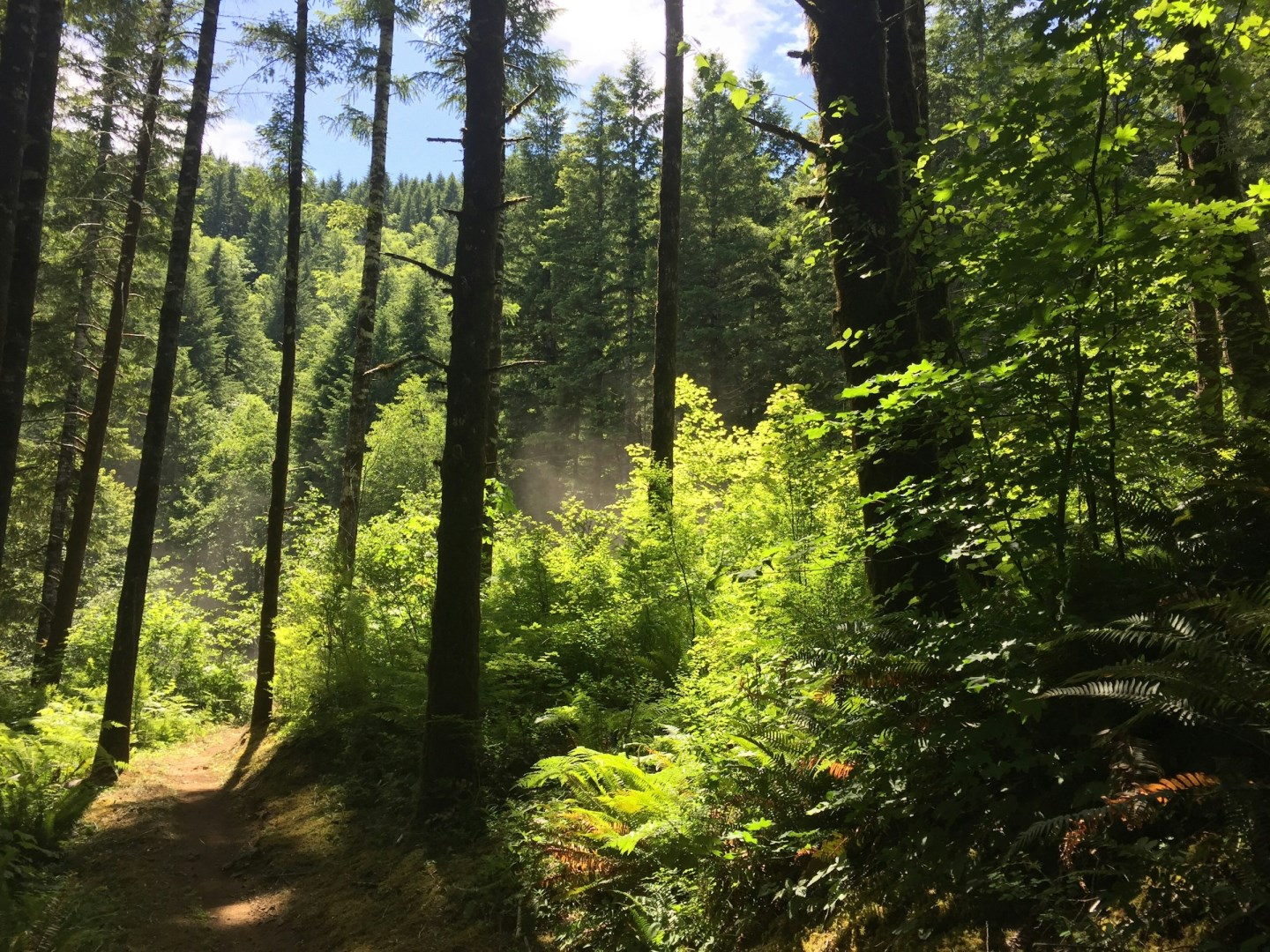  Photo Credit: Photo by Jack Bright on Unsplash