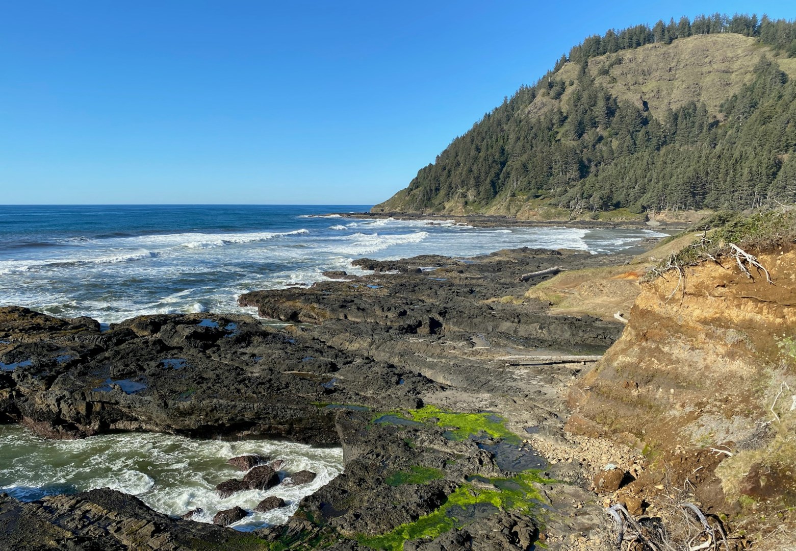 Cape Perpetua