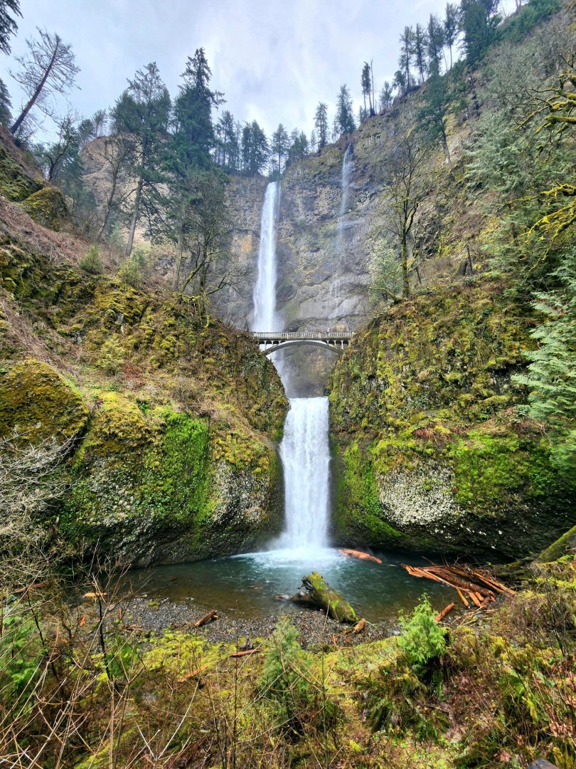 Multnomah Falls - Photo Credit: Image by Eliza June Sapphire from Pixabay