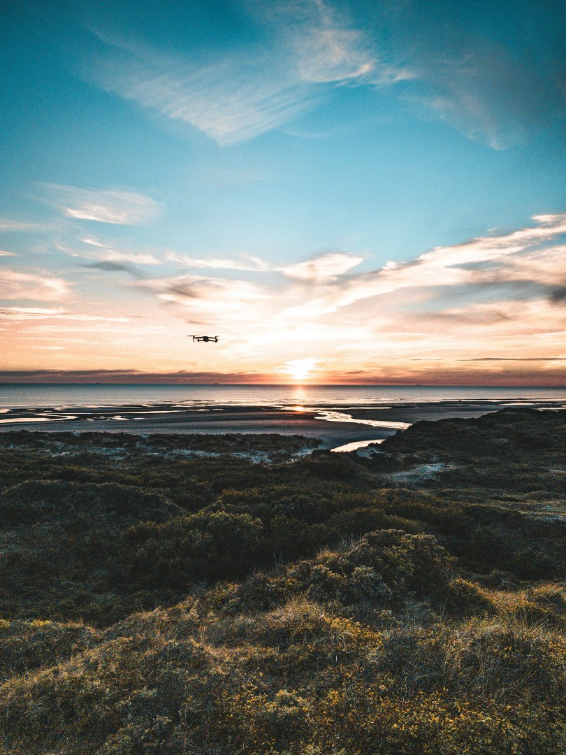 Sainte Cecile - Photo Credit: Photo by Debbie Behr on Unsplash