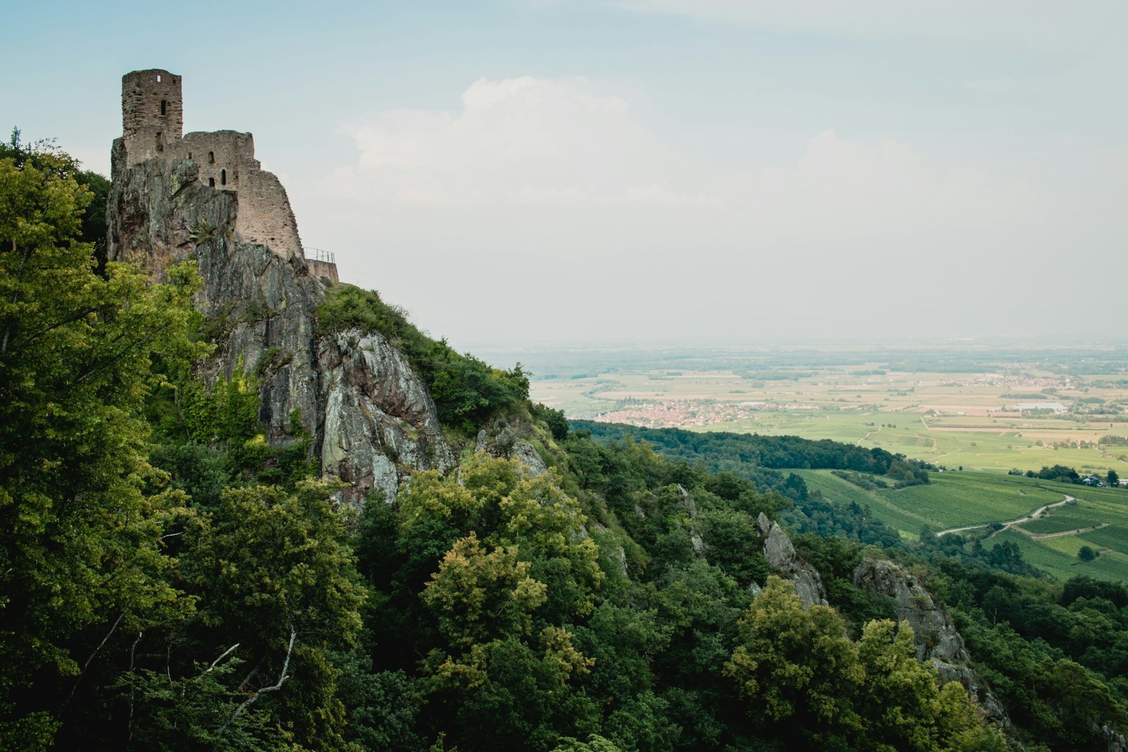  Photo Credit: Photo by Armands Brants on Unsplash