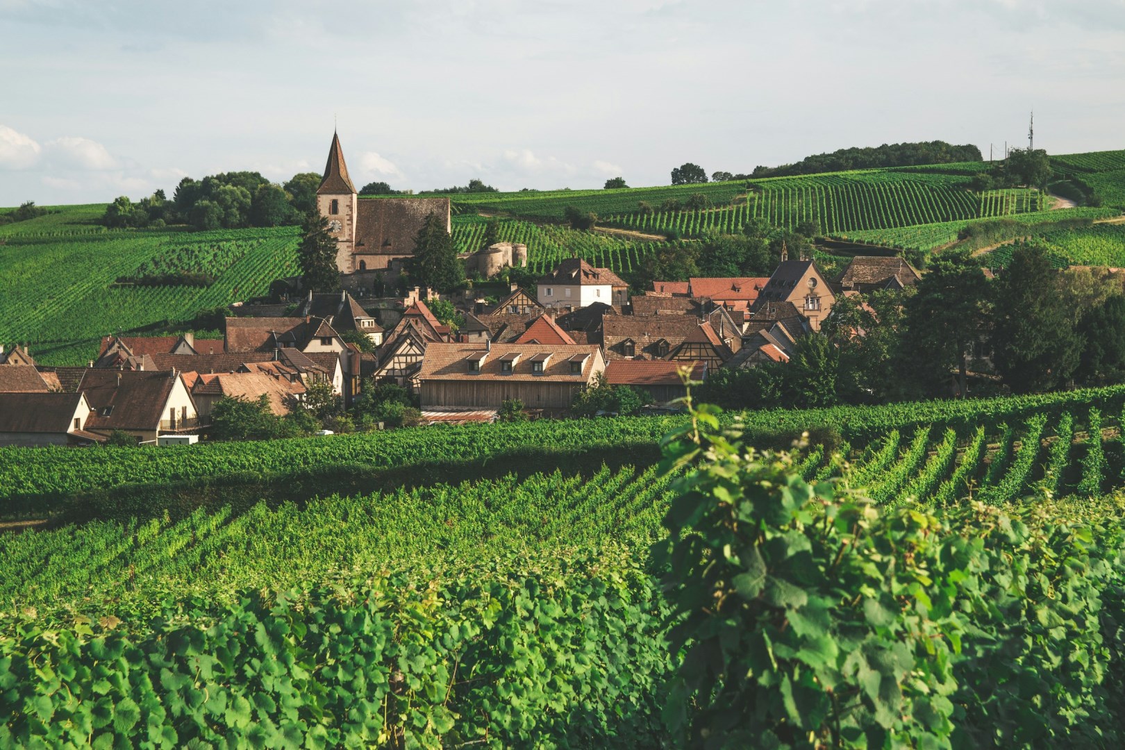  Photo Credit: Photo by Armands Brants on Unsplash