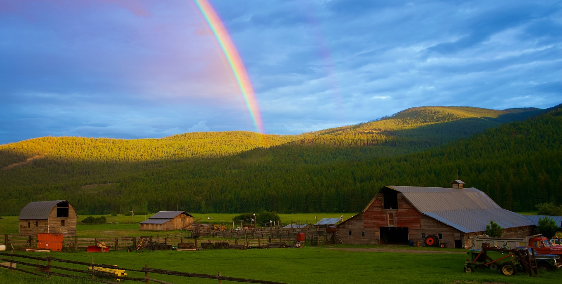  Photo Credit: Photo by Ryan Milrad on Unsplash