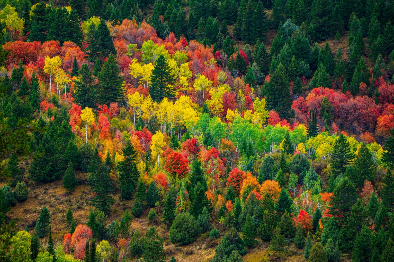 Palisades Reservoir - Photo Credit: Photo by Alex Lemoing on Unsplash