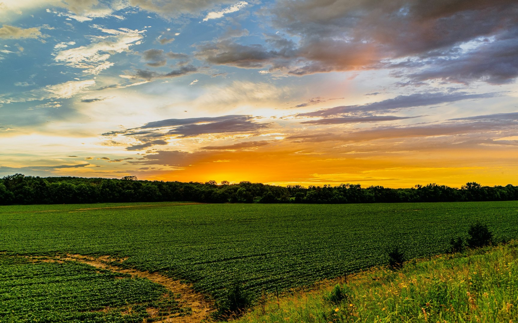  Photo Credit: Photo by Anival Torres on Unsplash