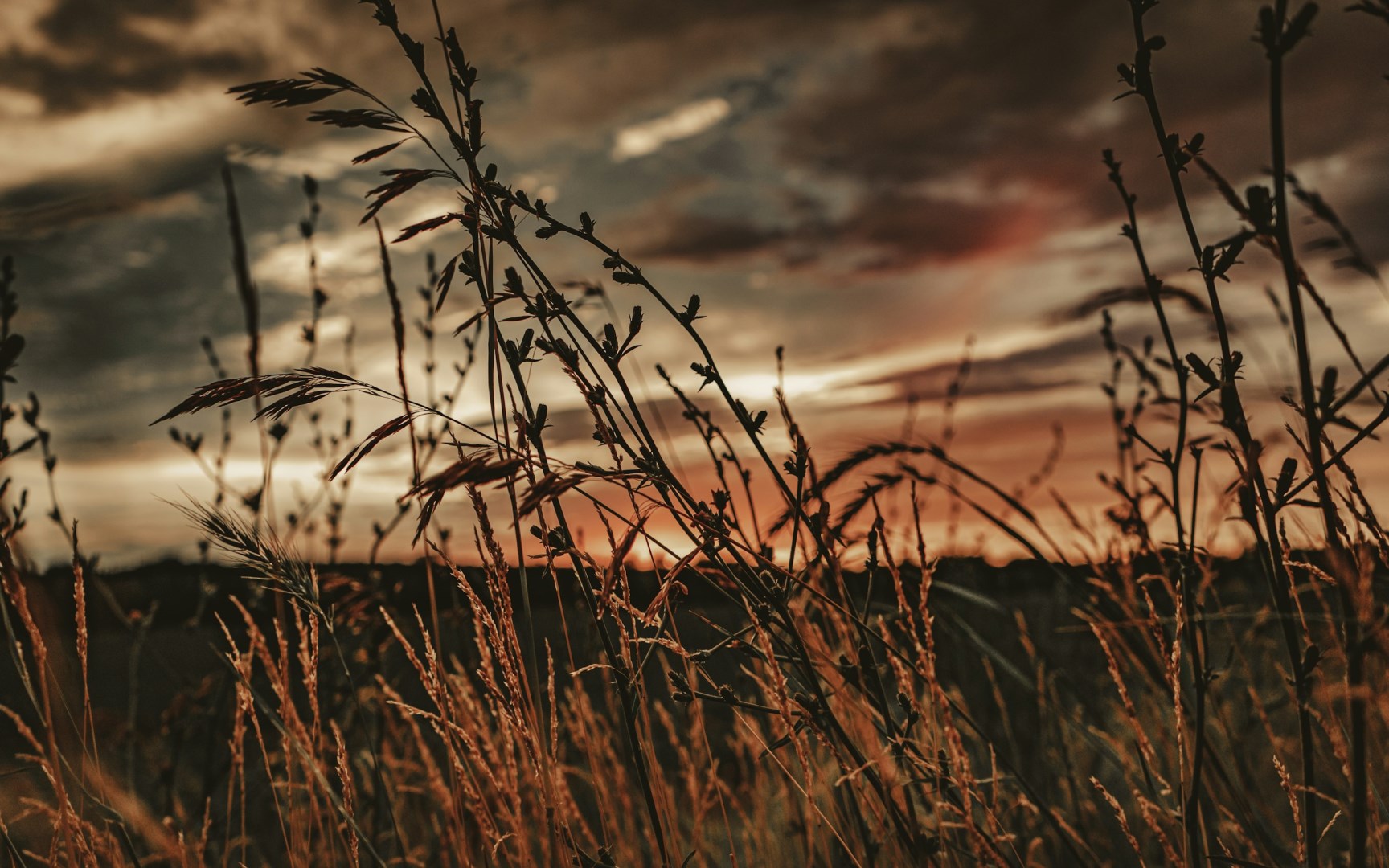  Photo Credit: Photo by Anival Torres on Unsplash