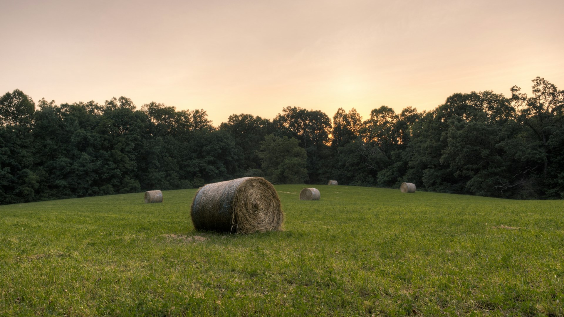  Photo Credit: Photo by Dave Hoefler on Unsplash