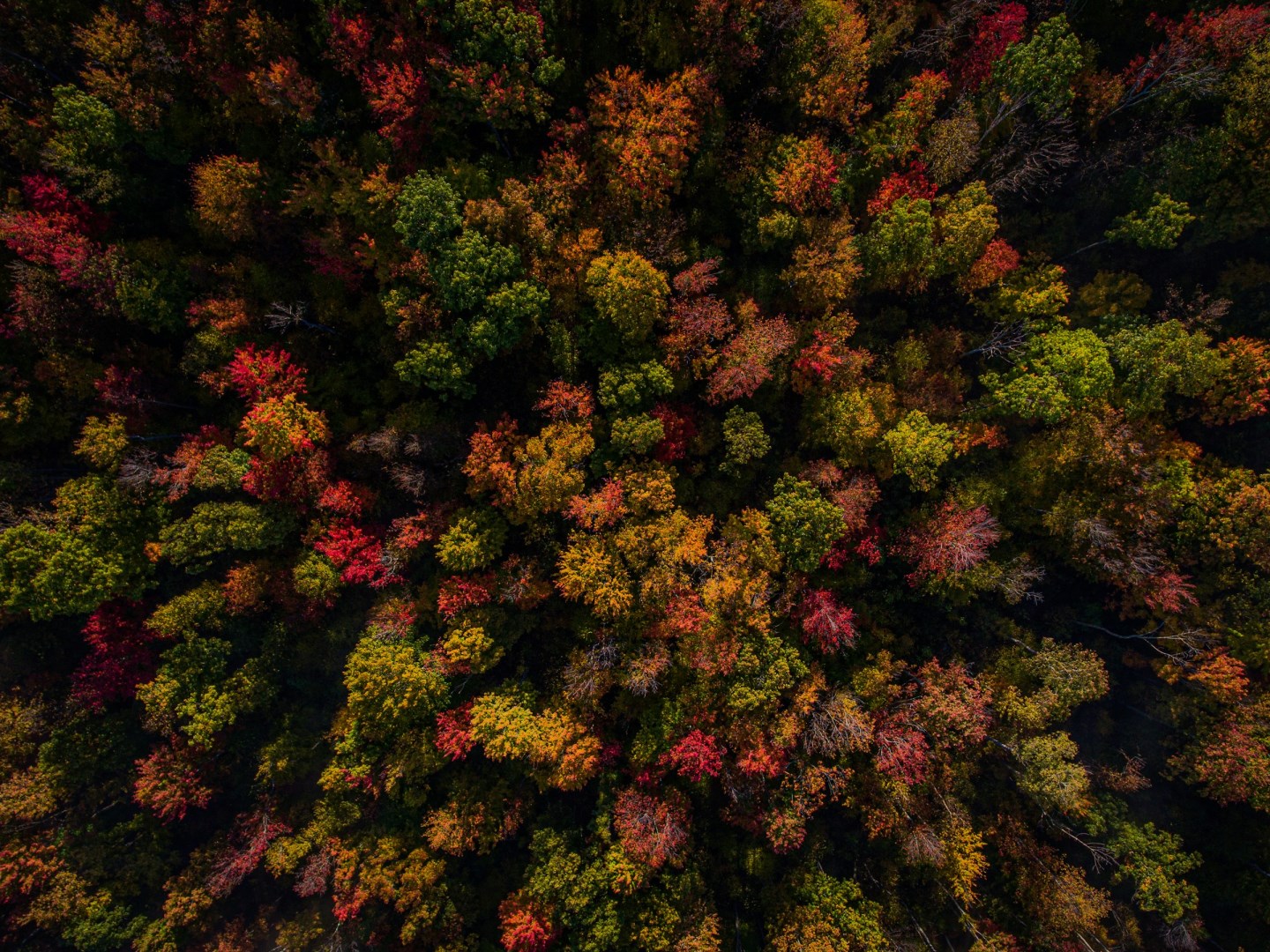  Photo Credit: Photo by Carl Schlabach on Unsplash