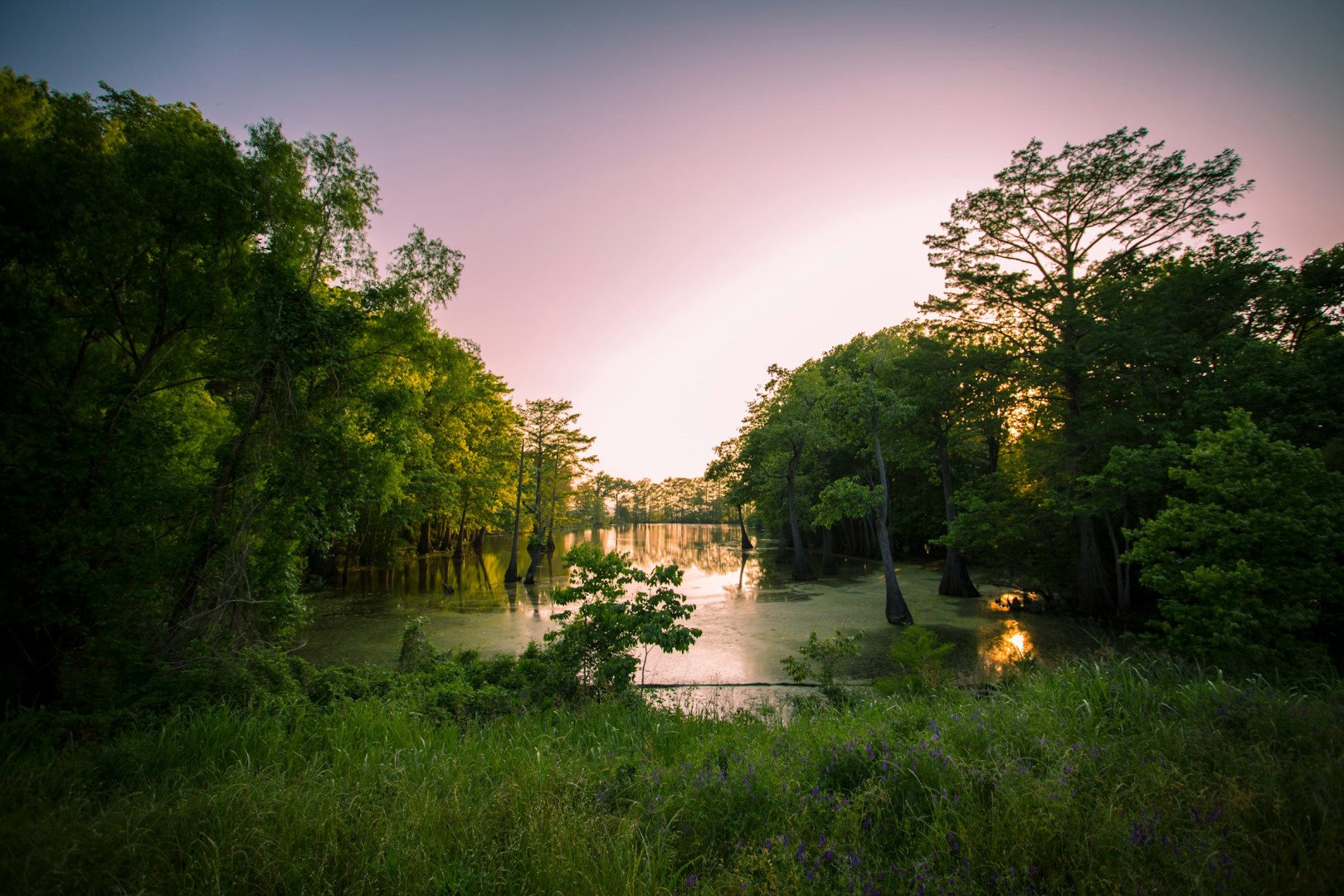  Photo Credit: Photo by Jp Valery on Unsplash
