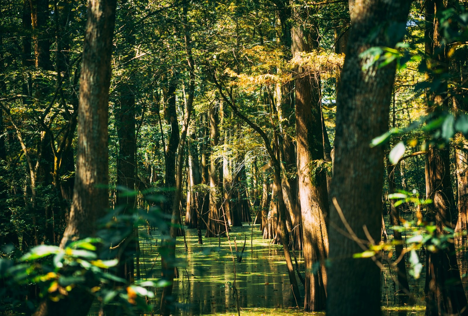  Photo Credit: Photo by Derrick Payton on Unsplash