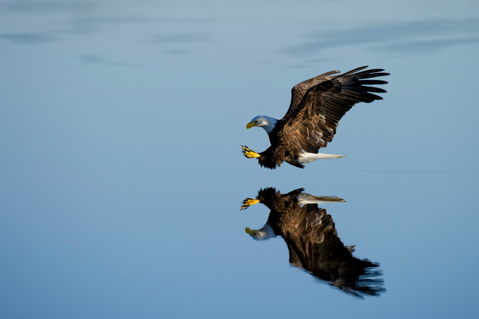  Photo Credit: Photo by Ray Hennessy on Unsplash