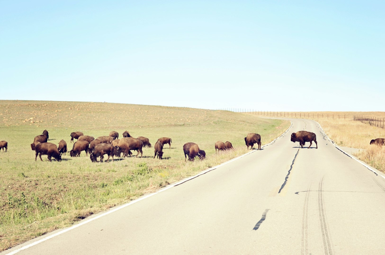 Wichita Mountain Wildlife Refuge - Photo Credit: Photo by Kiy Turk on Unsplash