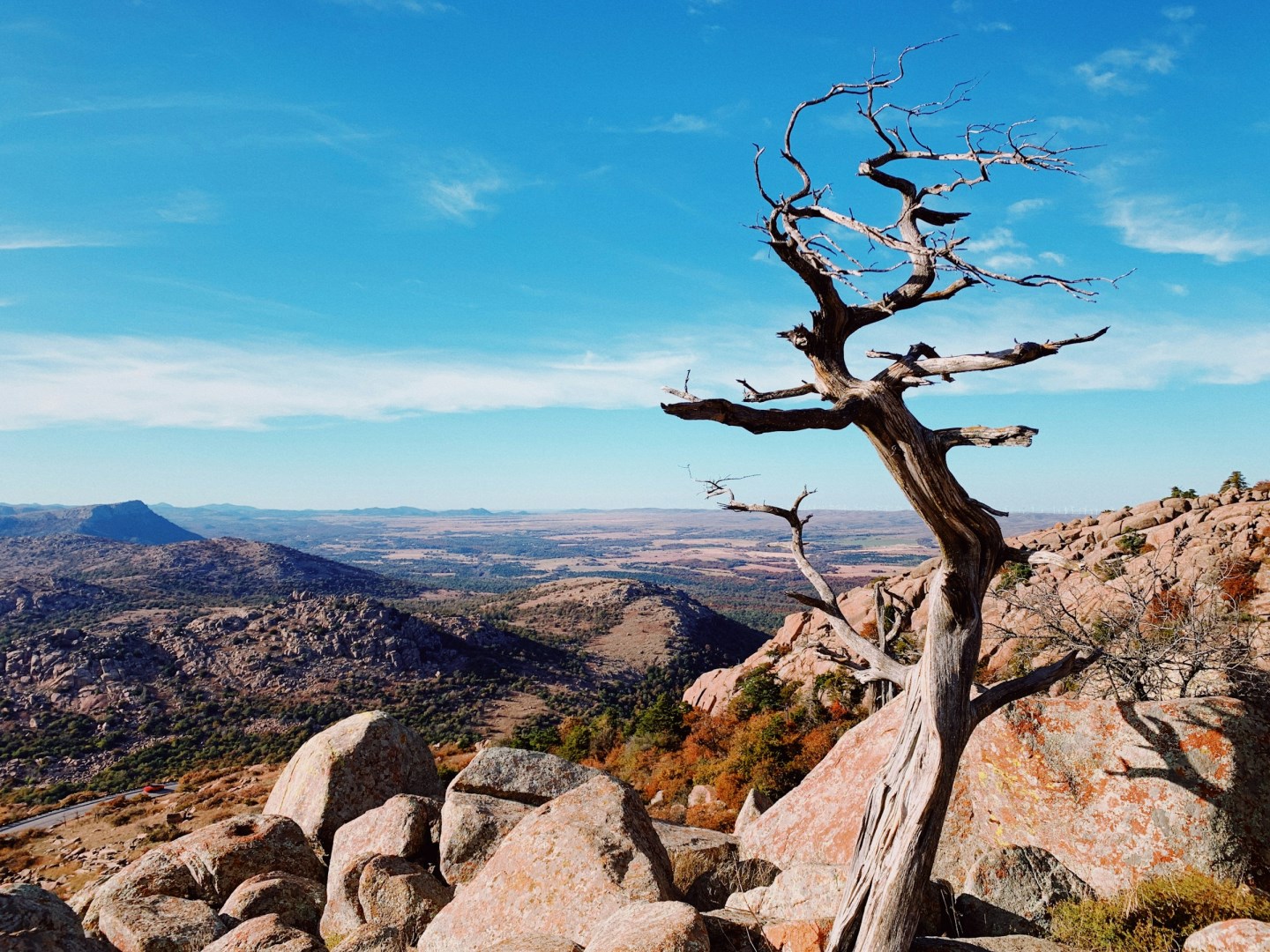  Photo Credit: Photo by Tommy Bond on Unsplash