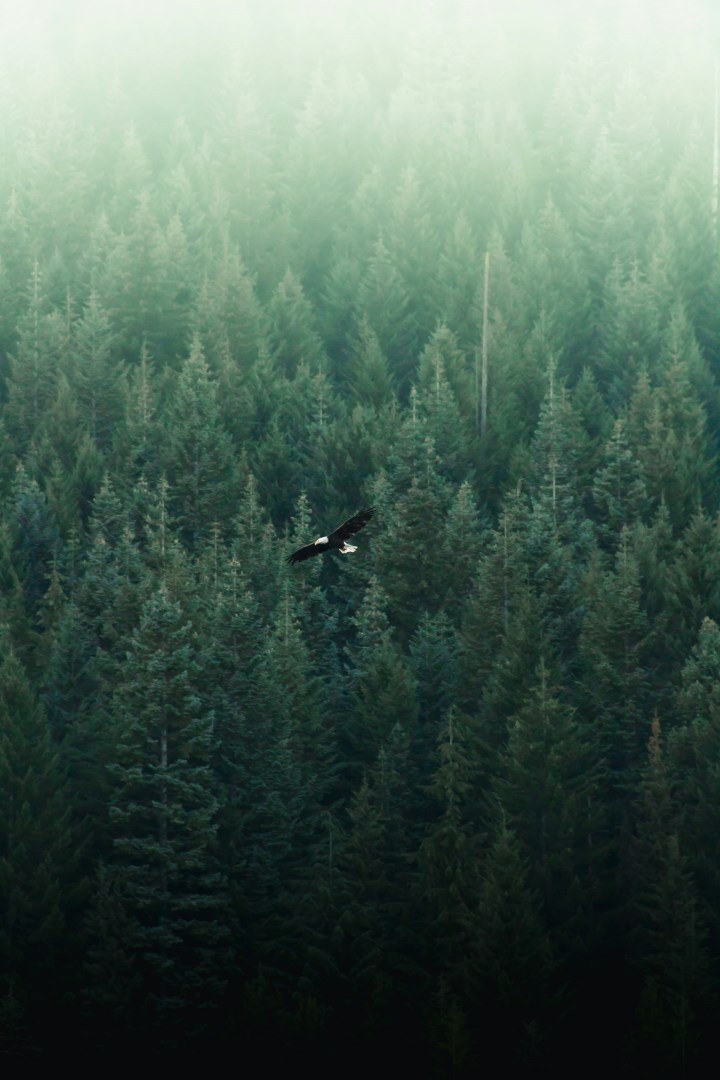  Photo Credit: Photo by Adam Bixby on Unsplash