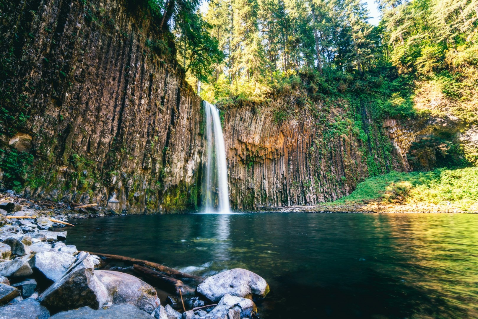  Photo Credit: Photo by Cristofer Maximilian on Unsplash