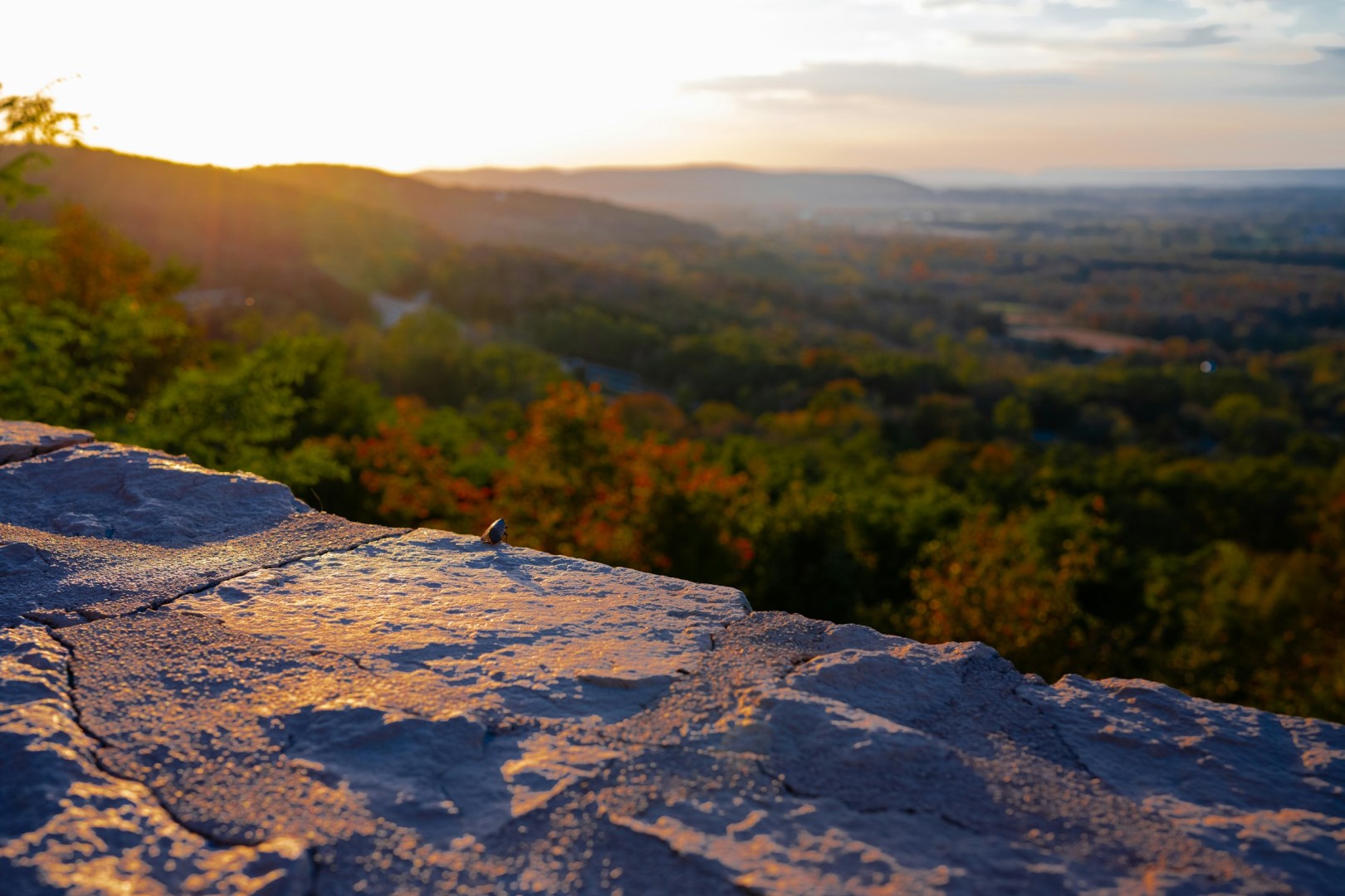  Photo Credit: Photo by Lera Kogan on Unsplash