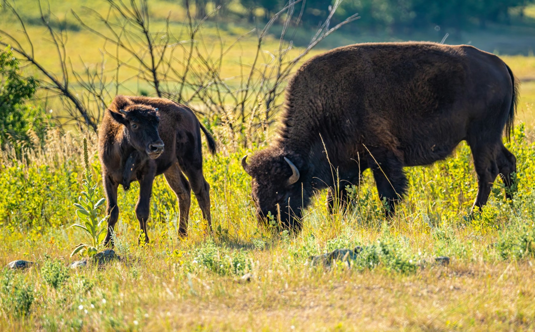  Photo Credit: Photo by Mark Koch on Unsplash