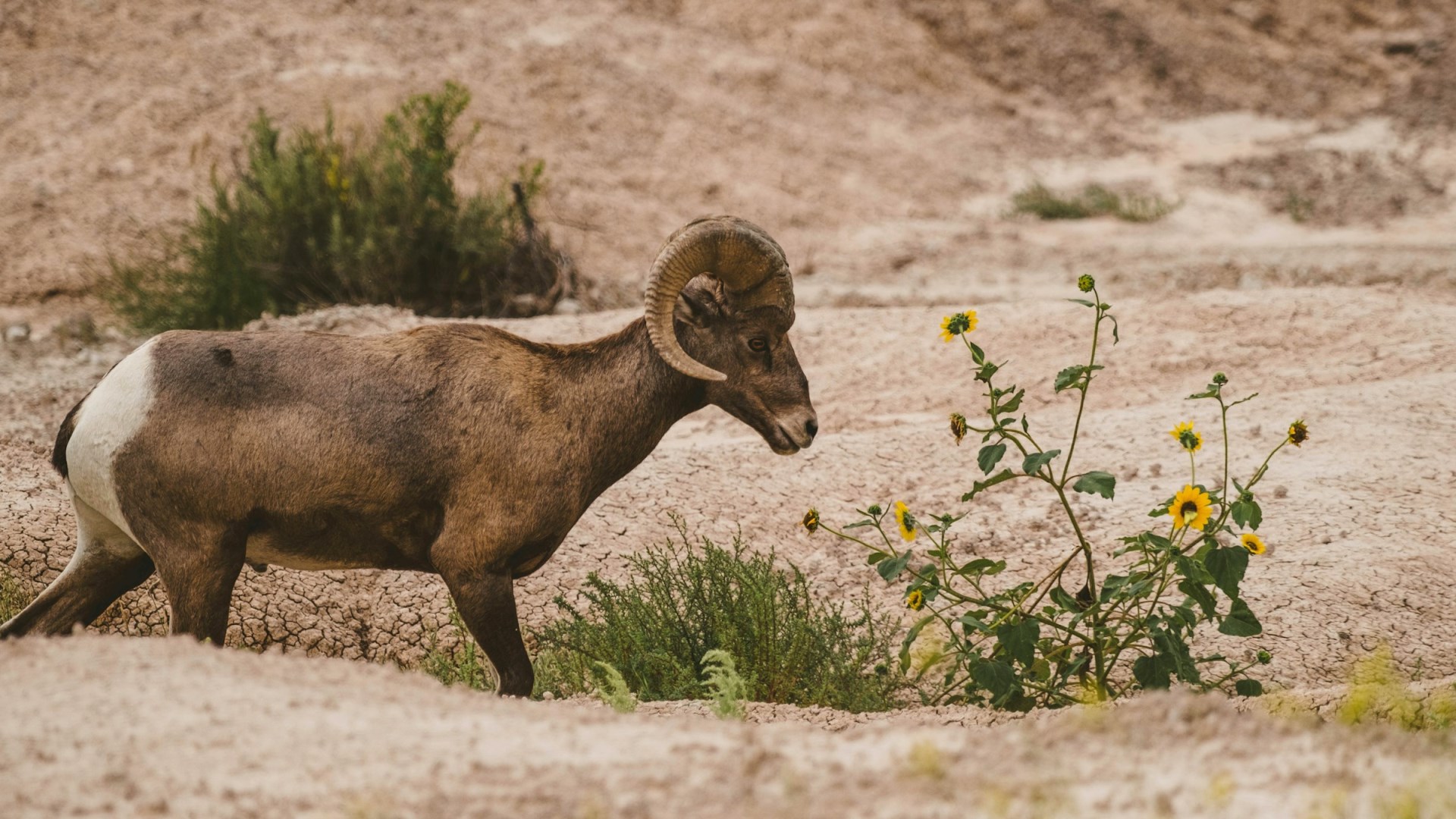  Photo Credit: Photo by Brian Beckwith on Unsplash