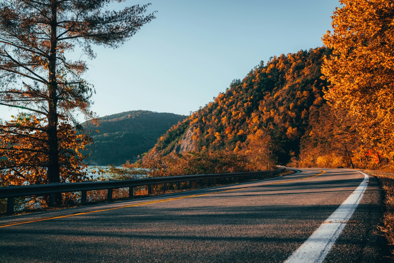  Photo Credit: Photo by Zane Persaud on Unsplash