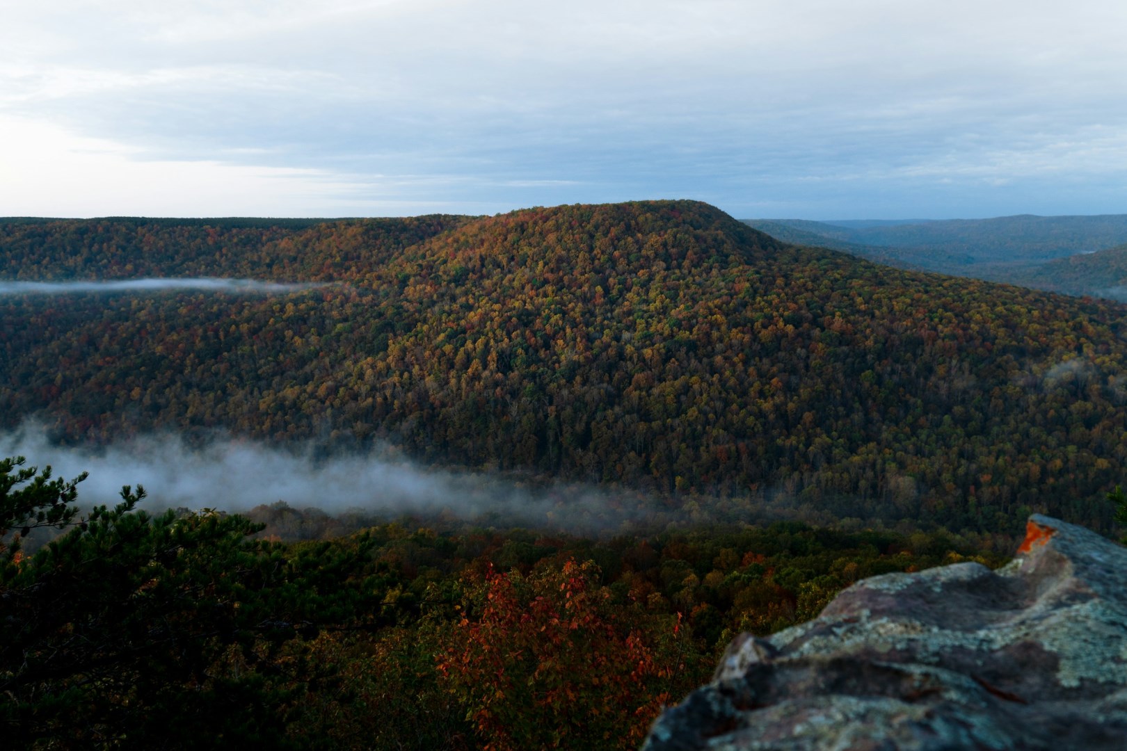  Photo Credit: Photo by Joshua Miller on Unsplash