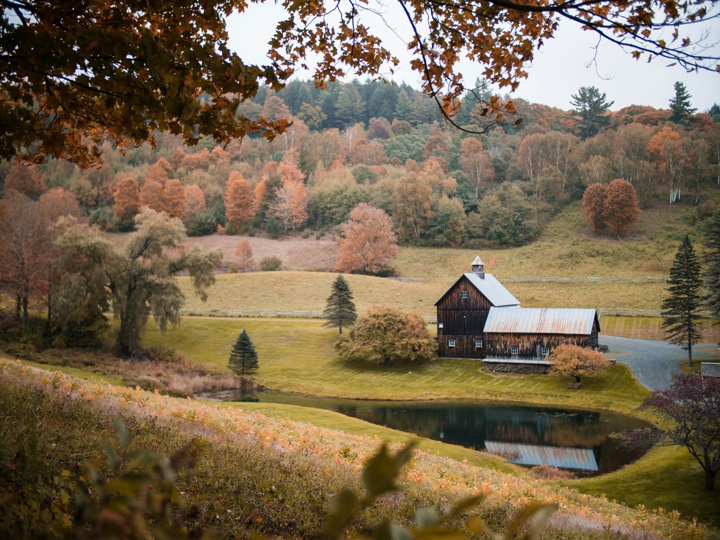  Photo Credit: Photo by Eric Chen on Unsplash