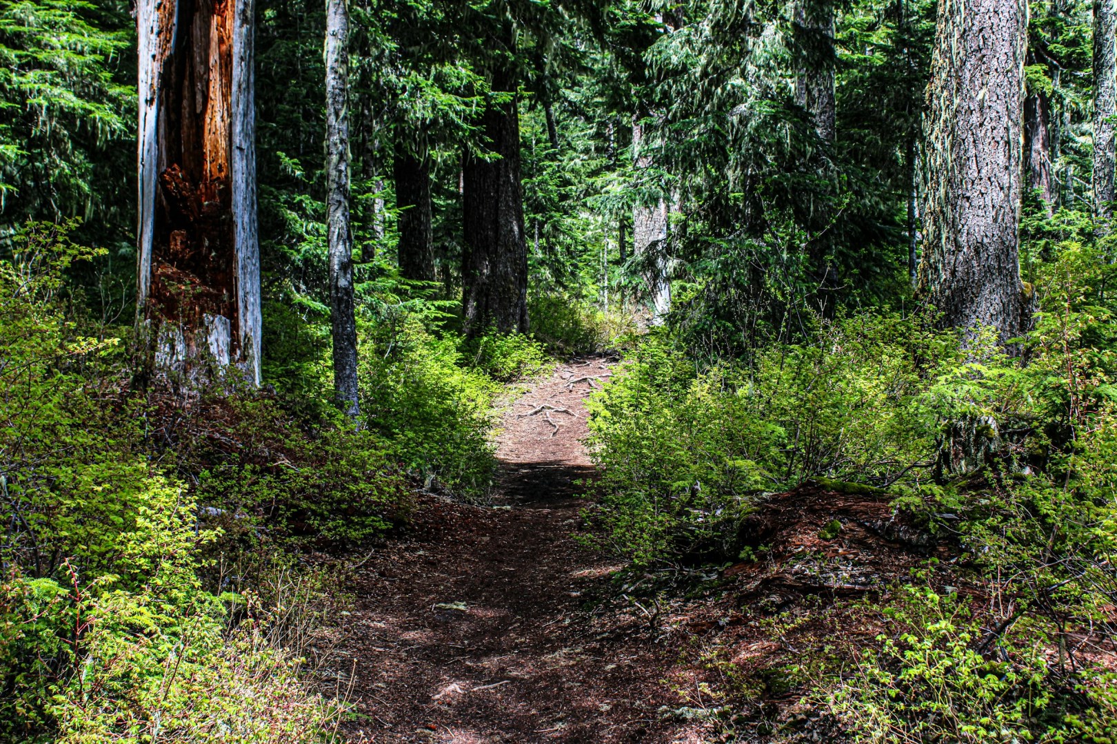  Photo Credit: Photo by Peter Robbins on Unsplash