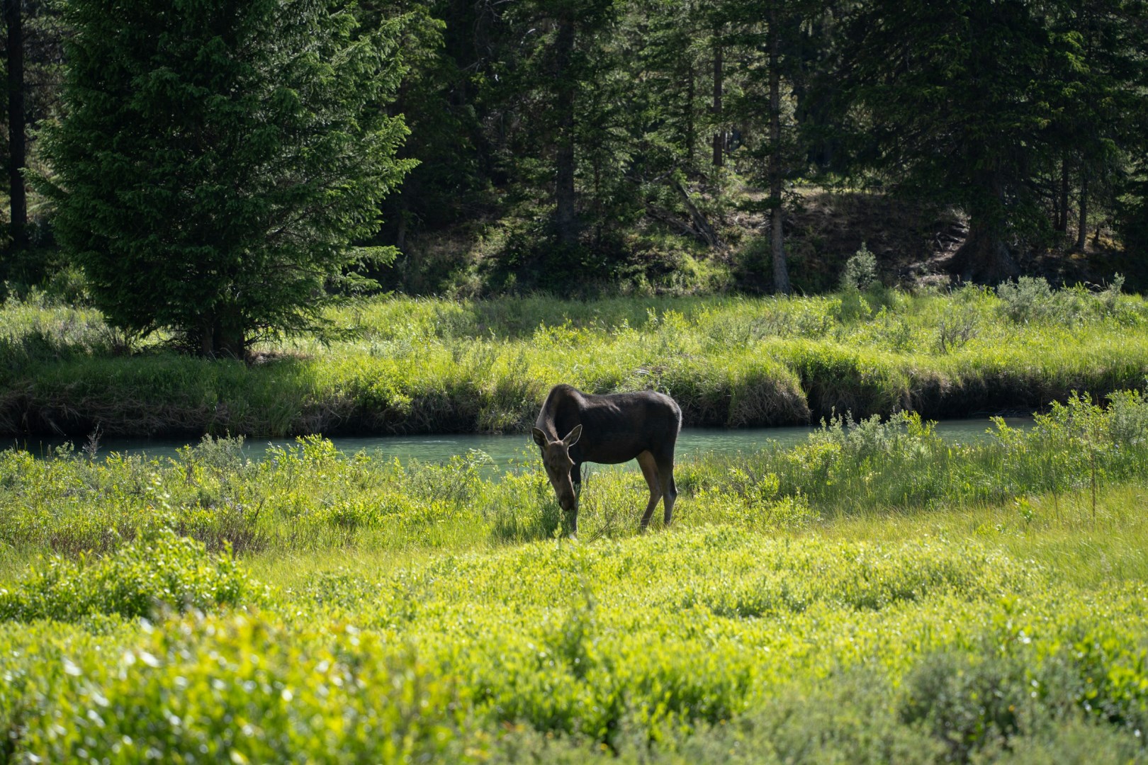 Green River Lakes - Photo Credit: Photo by Alex Moliski on Unsplash