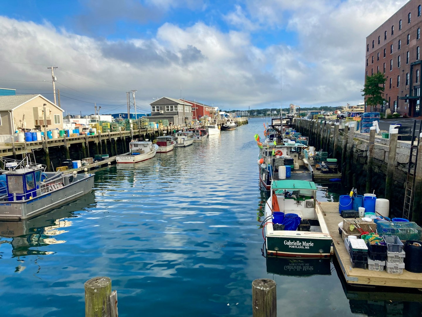  Photo Credit: Photo by Gary Deetz on Unsplash