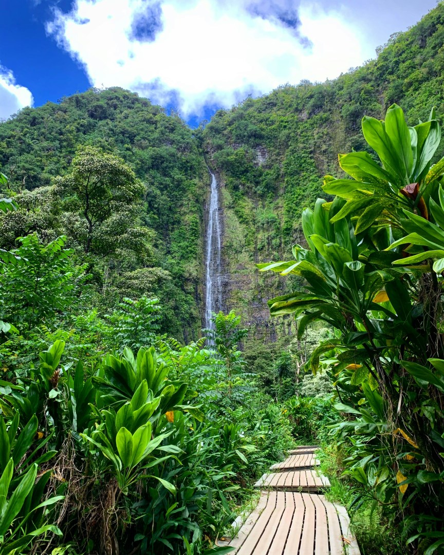 Makahiku Waterfall - Photo Credit: Photo by Maggie Collins on Unsplash