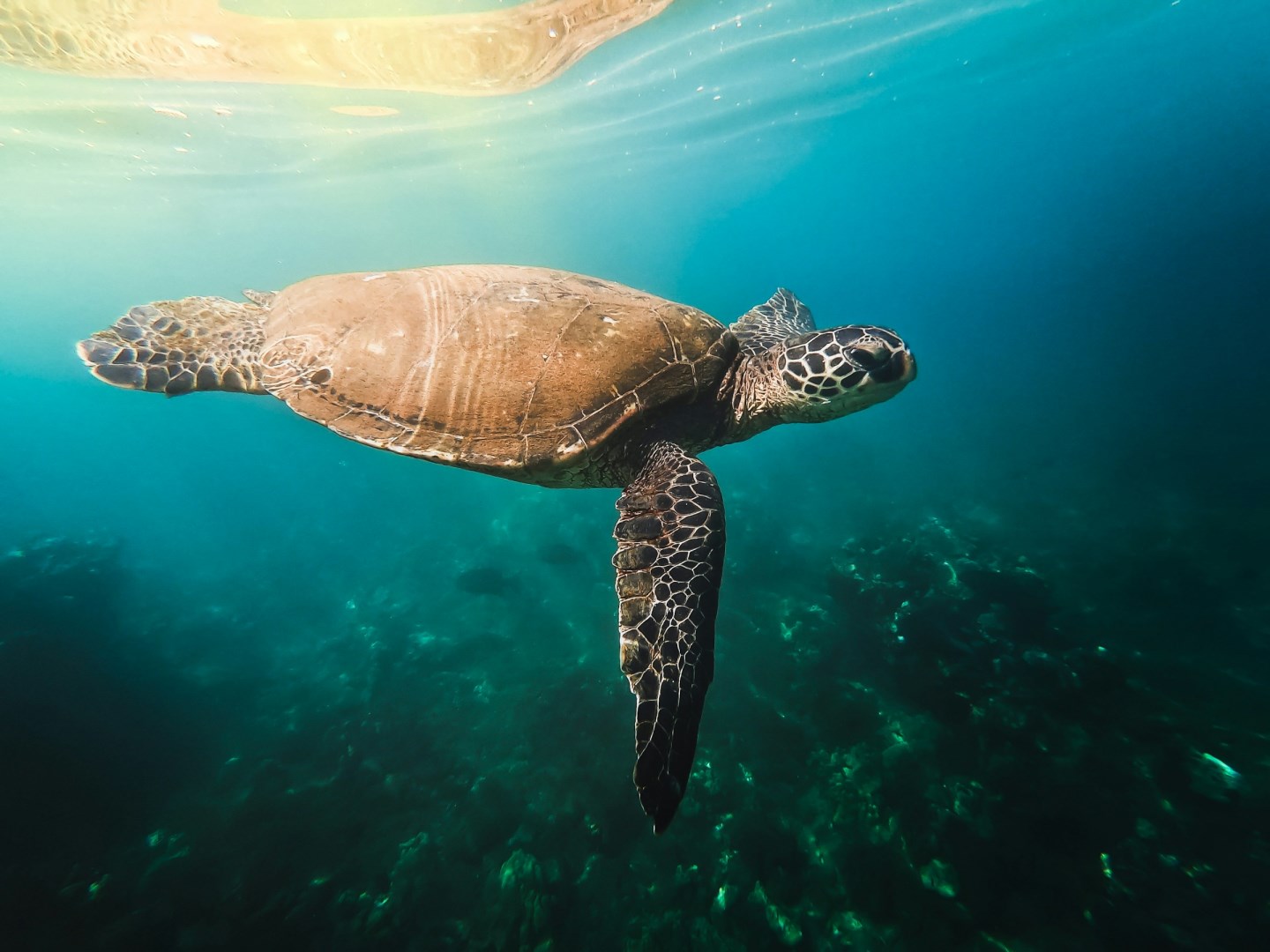  Photo Credit: Photo by Jonathan Ikemura on Unsplash