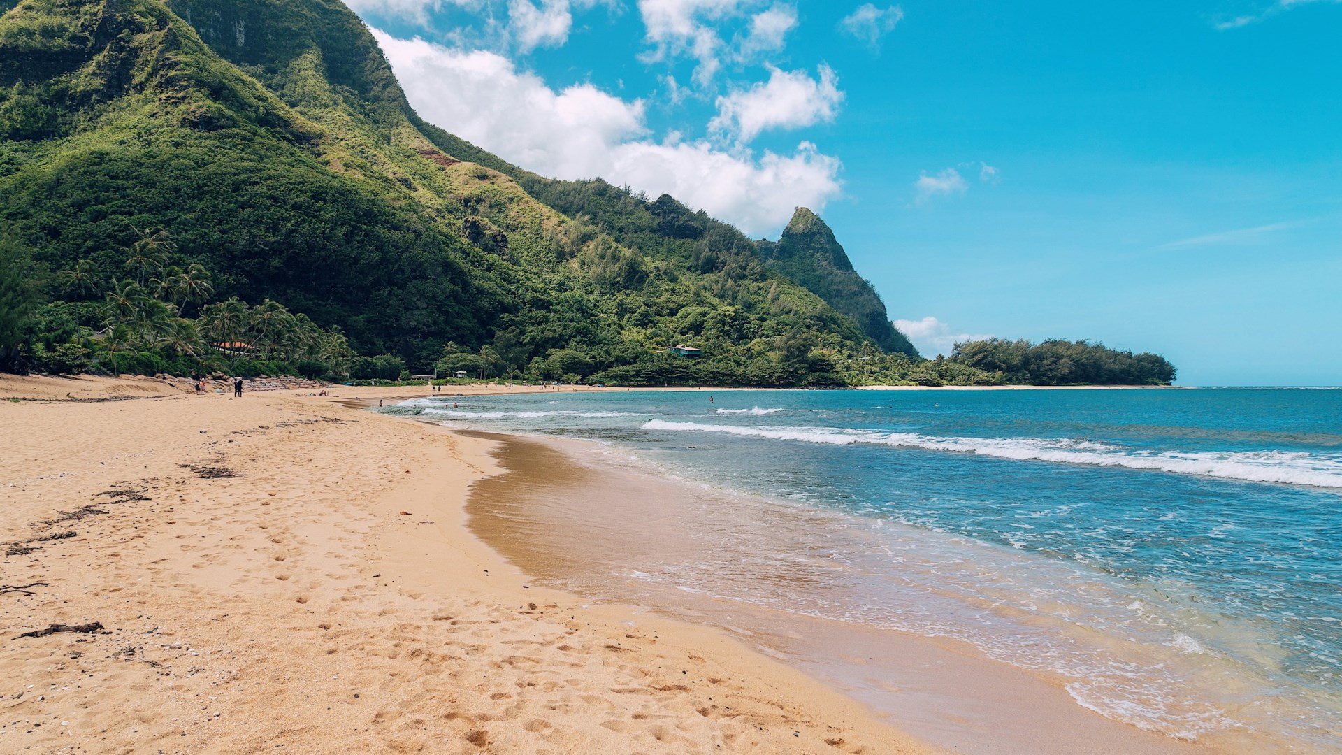  Photo Credit: Photo by Sebastien Gabriel on Unsplash
