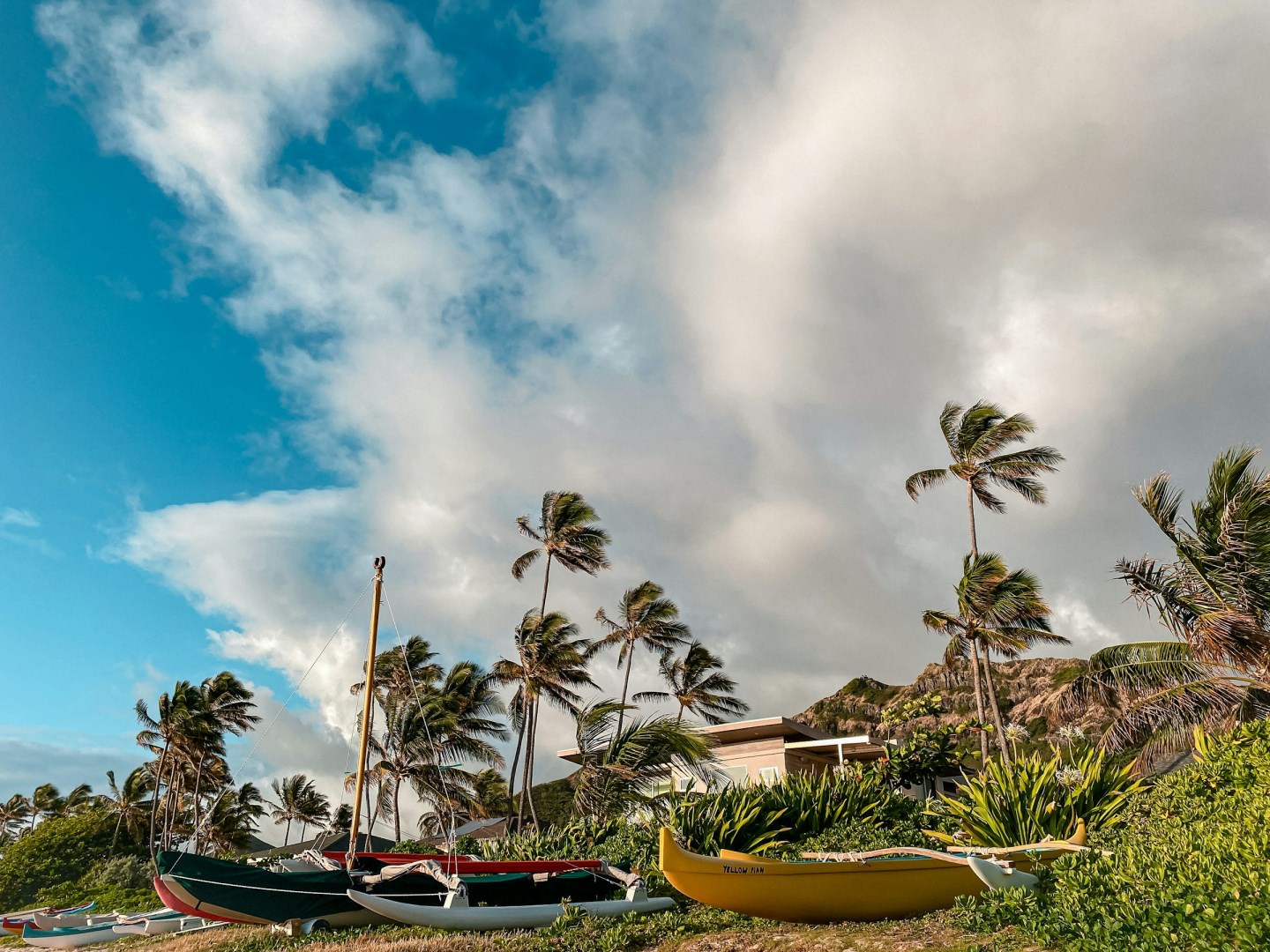 Lanikai Shore - Photo Credit: Photo by Julian Armstrong on Unsplash