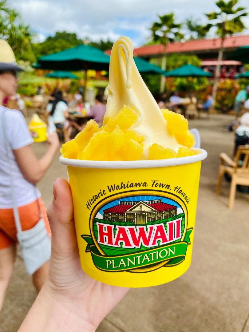 Dole Plantation, Wahiawa - Photo Credit: Photo by Ava W. on Unsplash