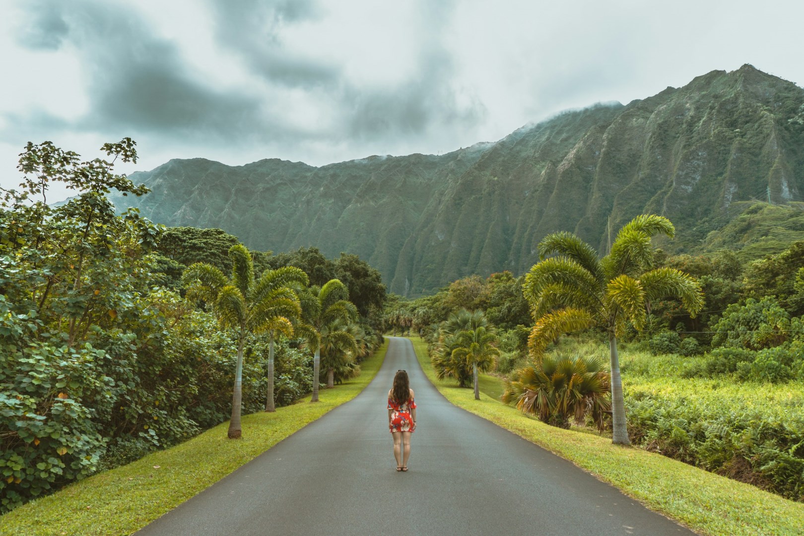 Ho'omaluhia Botanical Garden, Kaneohe - Photo Credit: Photo by Darren Lawrence on Unsplash