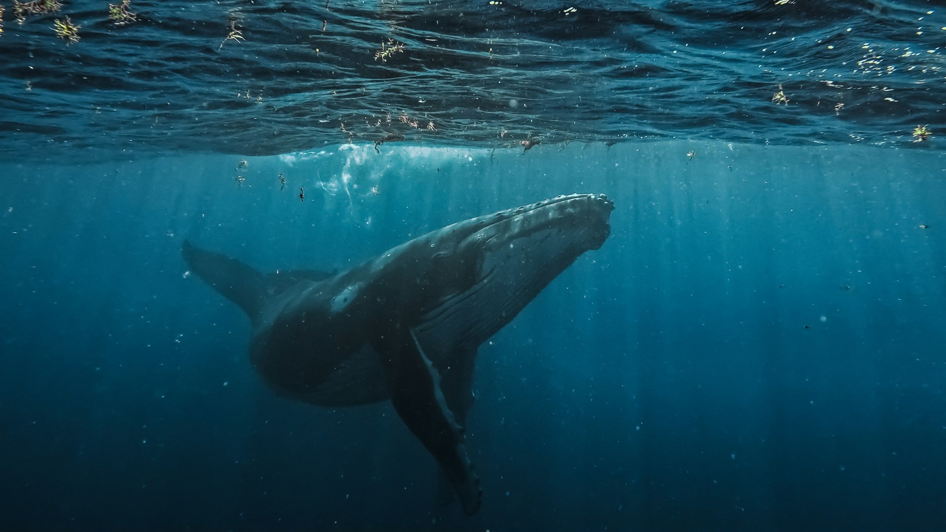  Photo Credit: Photo by Oliver Tsappis on Unsplash
