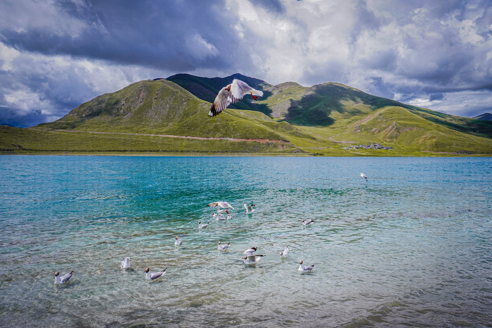  Photo Credit: Photo by Mauricio Manzato on Unsplash