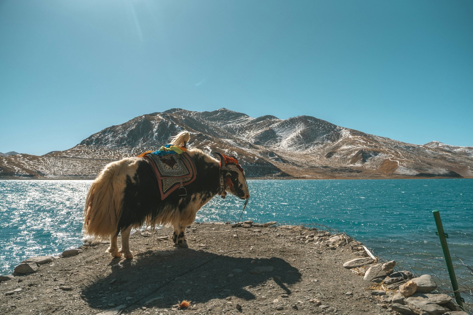  Photo Credit: Photo by Alex Poon on Unsplash