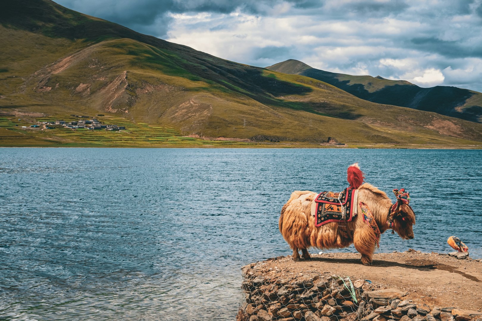  Photo Credit: Photo by Mauricio Manzato on Unsplash