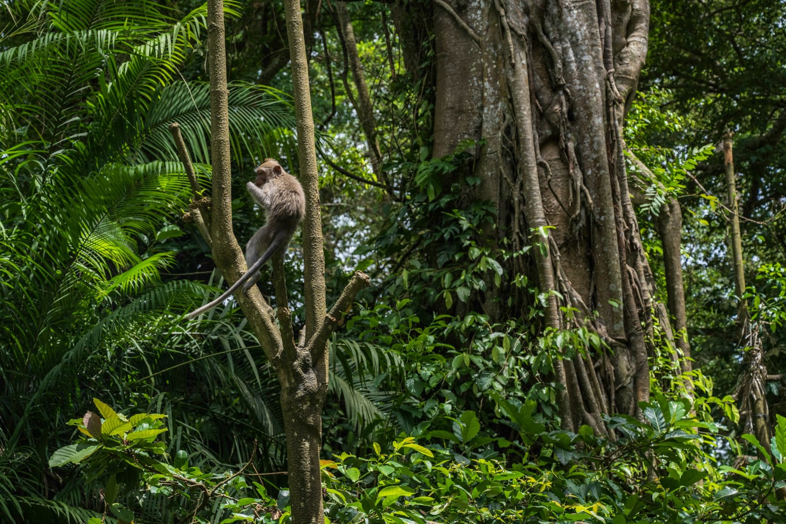  Photo Credit: Photo by Evelin Magnus on Unsplash