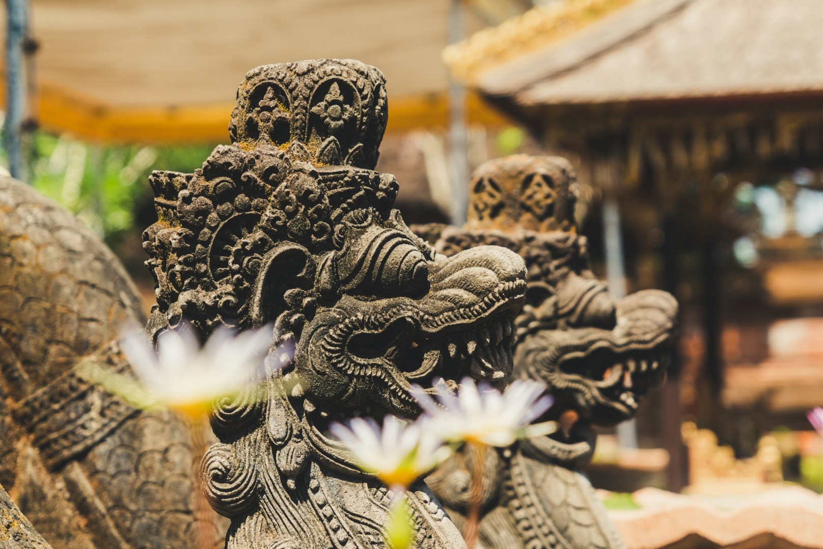  Photo Credit: Photo by Paolo Nicolello on Unsplash