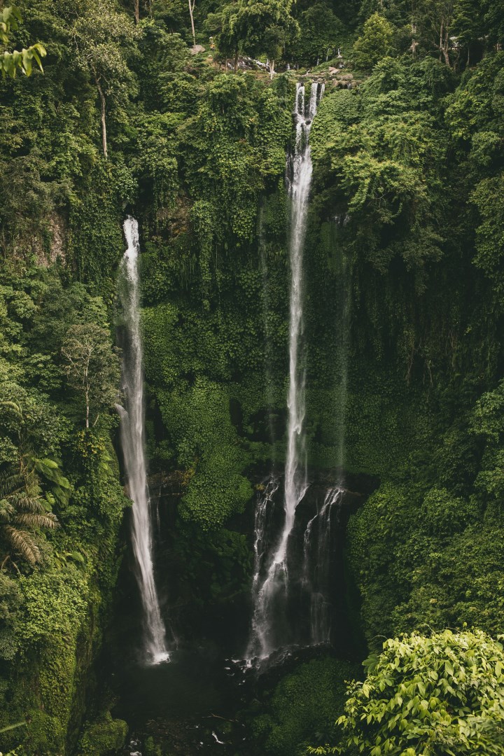 Sekumpul Waterfall - Photo Credit: Photo by Aleksandra Dementeva on Unsplash
