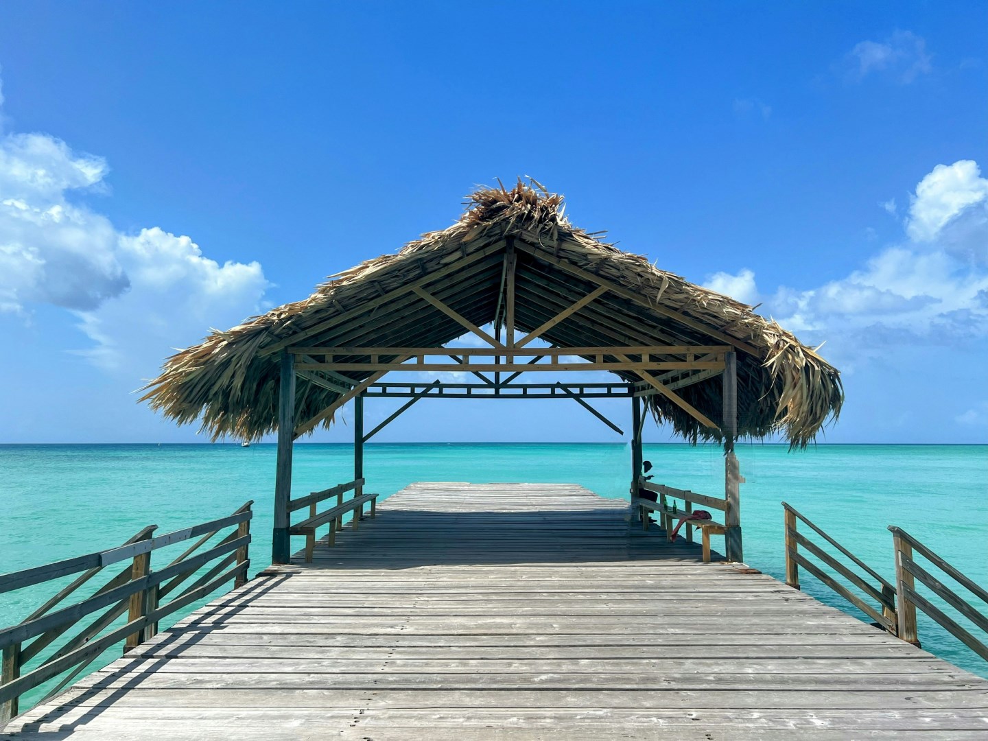  Photo Credit: Photo by Wendi Wells on Unsplash