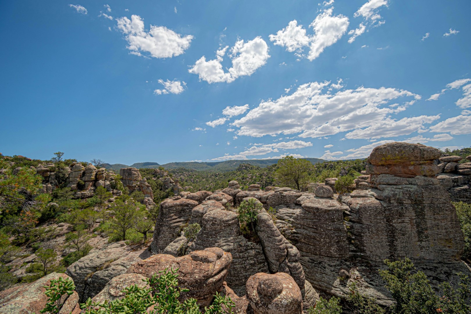 Cumbres de Majalca - Photo Credit: Photo by Charles Elizondo on Unsplash