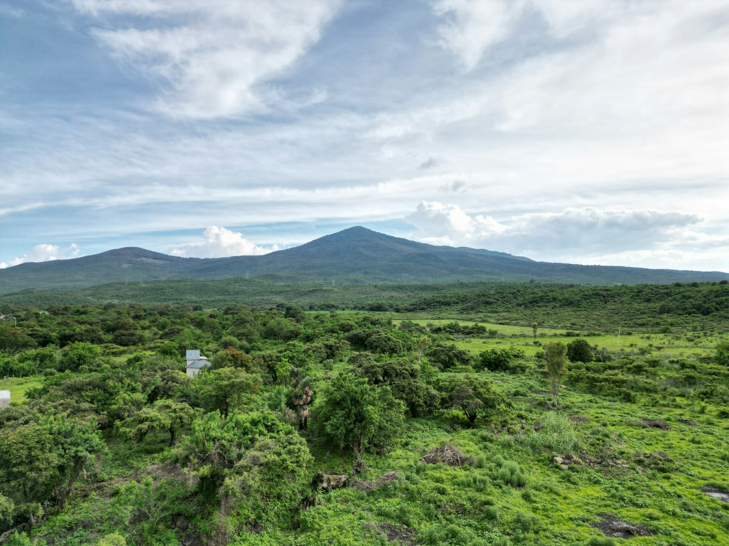 Michoacan