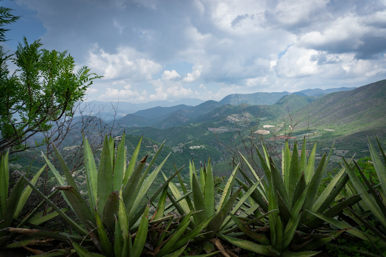  Photo Credit: Photo by José Castillo on Unsplash