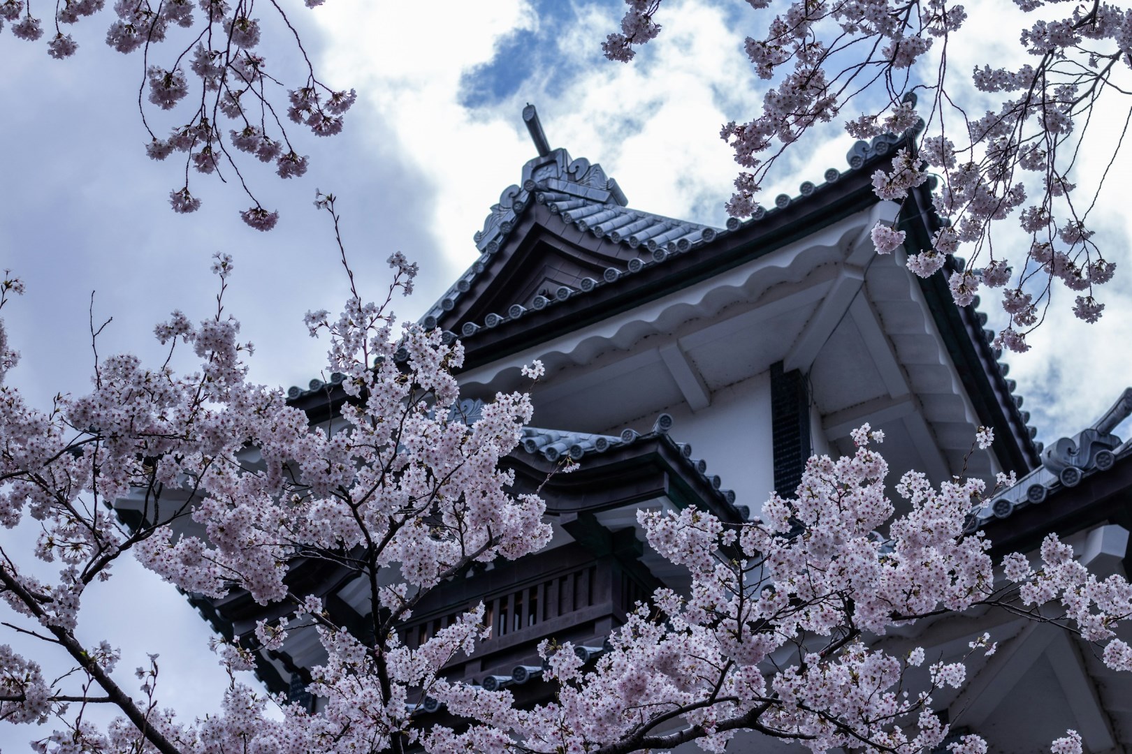 Kanazawa Castle - Photo Credit: Photo by Robby McCullough on Unsplash
