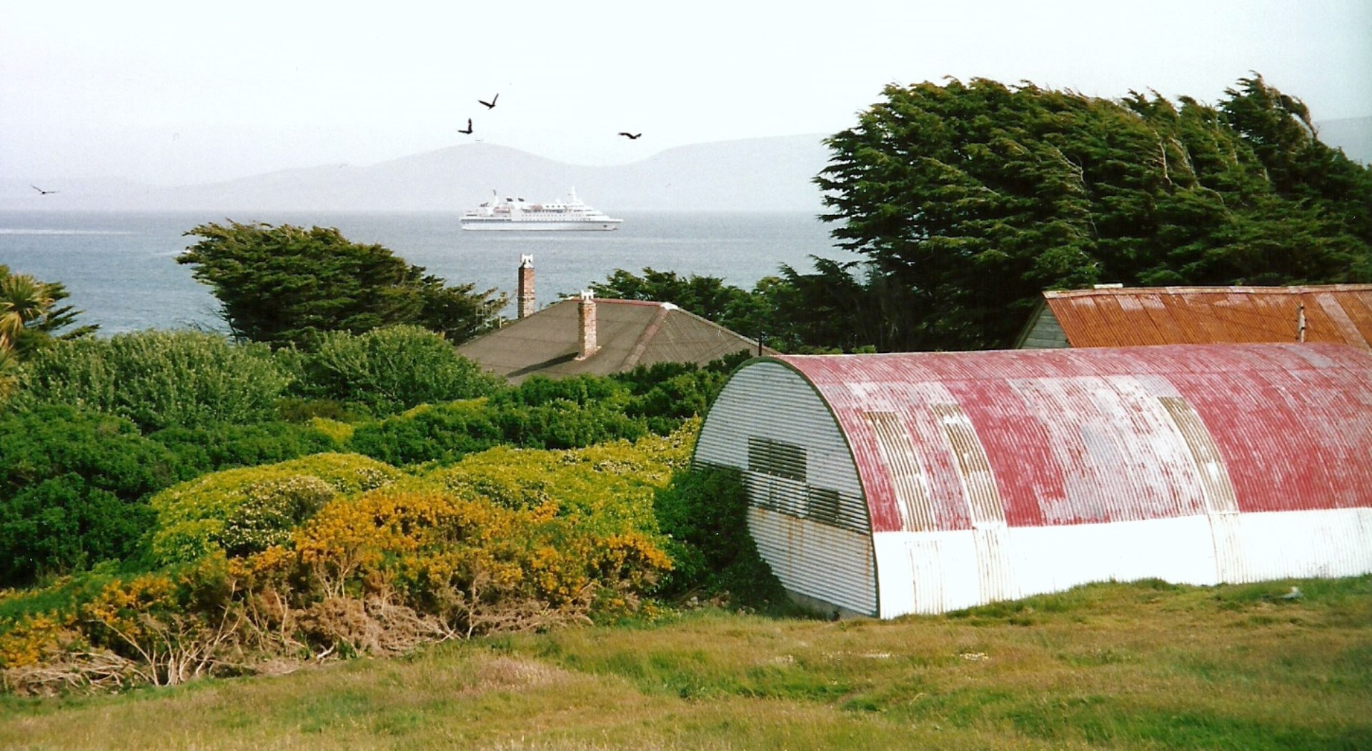 Carcass Island